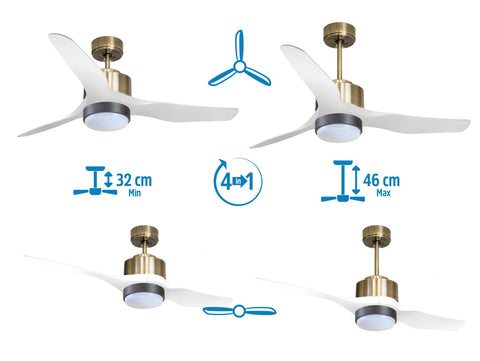 Ventilador de techo