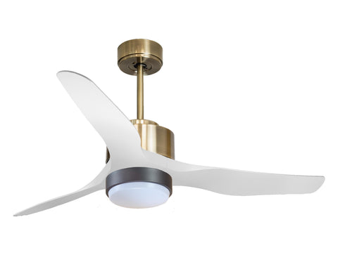 Ventilador de techo