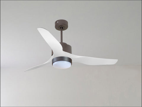 Ventilador de techo