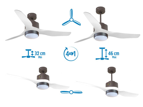 Ventilador de techo