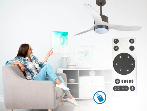 Ventilador de techo