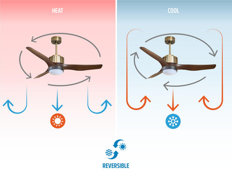 Ventilador de techo