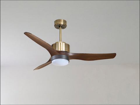 Ventilador de techo
