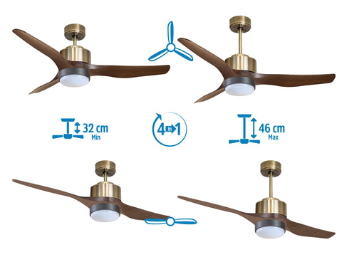 Ventilador de techo