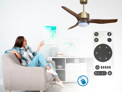 Ventilador de techo