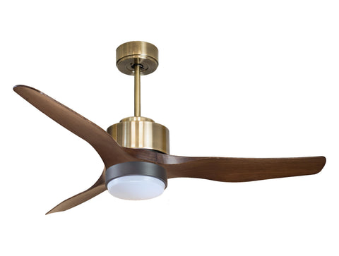Ventilador de techo