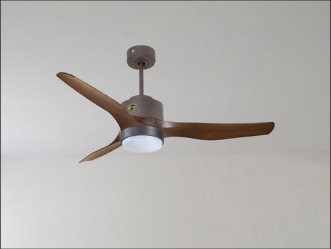 Ventilador de techo