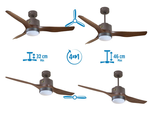 Ventilador de techo