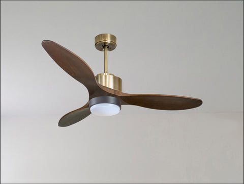 Ventilador de techo