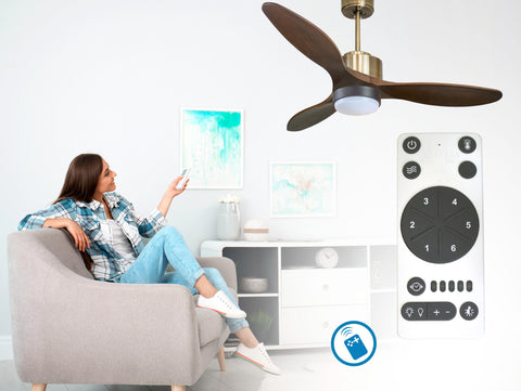 Ventilador de techo