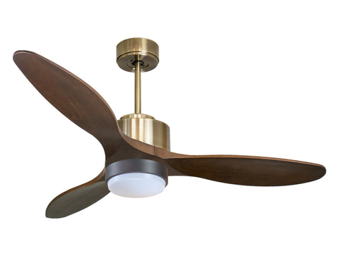 Ventilador de techo
