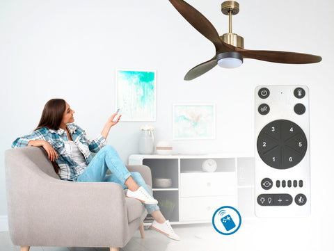 Ventilador de techo