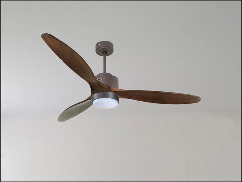 Ventilador de techo