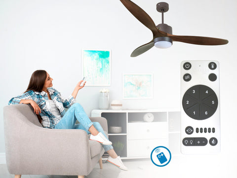 Ventilador de techo