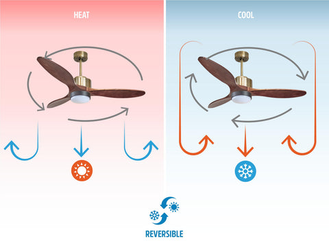 Ventilador de techo