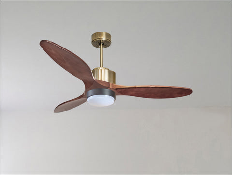 Ventilador de techo