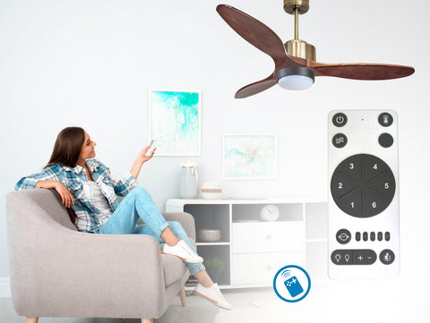Ventilador de techo