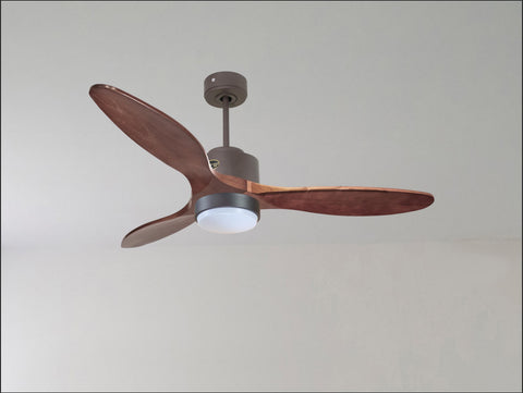 Ventilador de techo