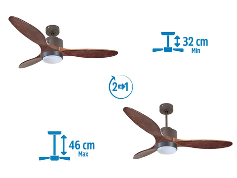 Ventilador de techo