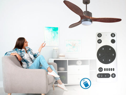Ventilador de techo