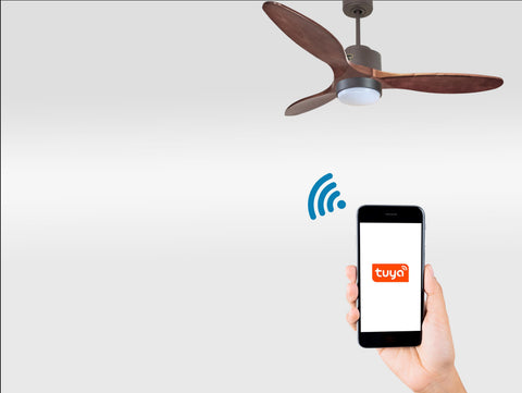 Ventilador de techo