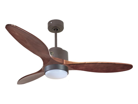Ventilador de techo