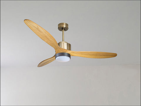 Ventilador de techo