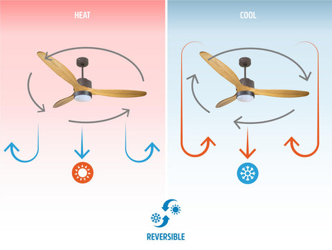 Ventilador de techo