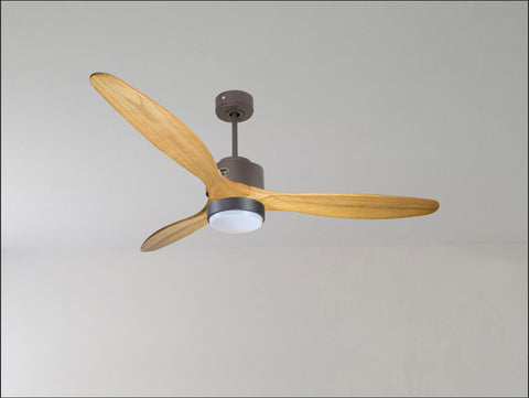 Ventilador de techo