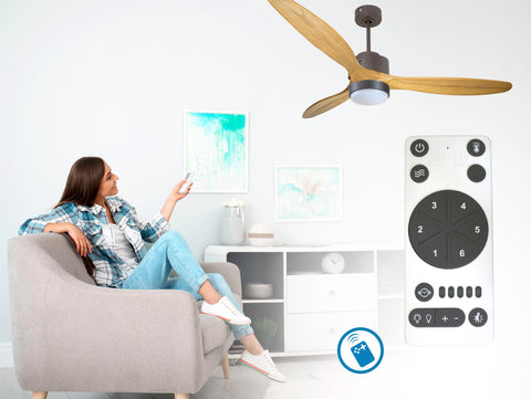 Ventilador de techo