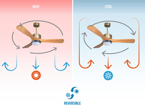 Ventilador de techo