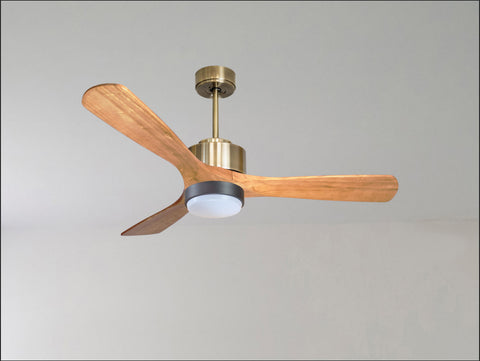Ventilador de techo