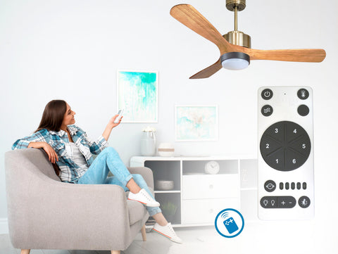 Ventilador de techo
