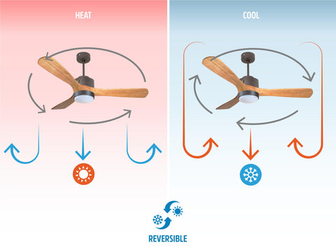 Ventilador de techo