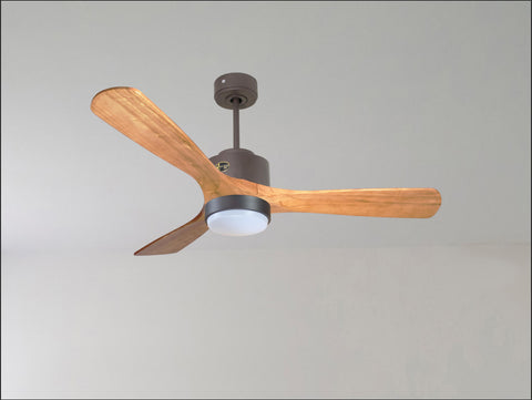 Ventilador de techo