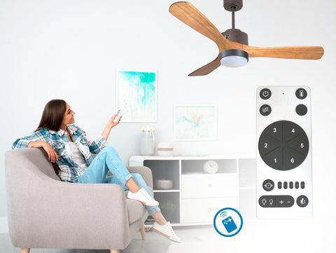 Ventilador de techo