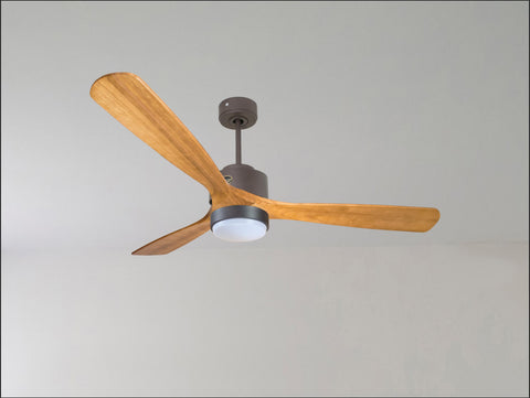 Ventilador de techo