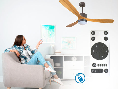 Ventilador de techo