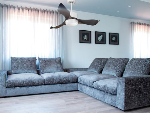 Ventilador de techo