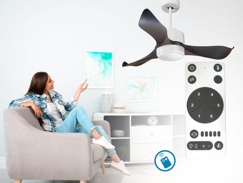 Ventilador de techo