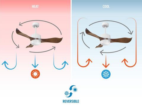Ventilador de techo