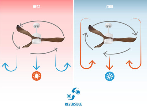 Ventilador de techo