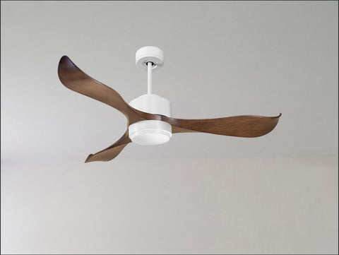 Ventilador de techo
