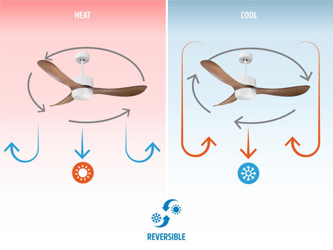 Ventilador de techo