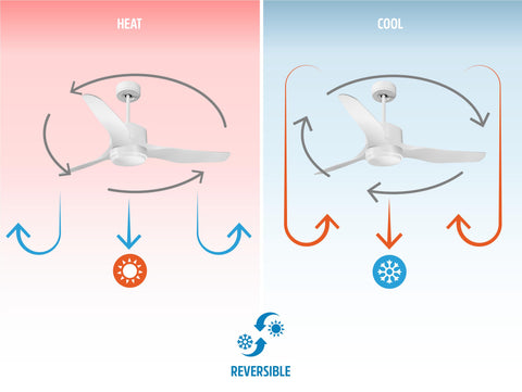 Ventilador de techo