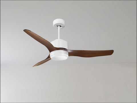 Ventilador de techo