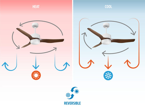 Ventilador de techo