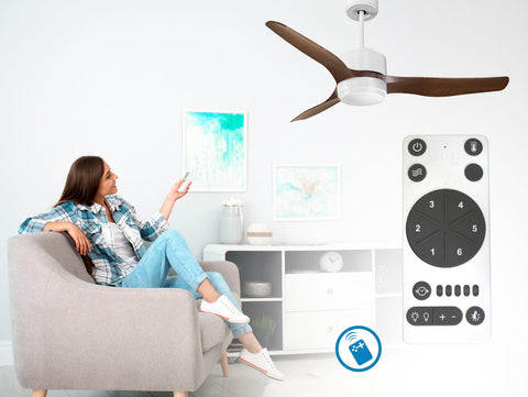 Ventilador de techo