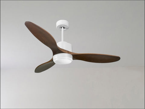 Ventilador de techo
