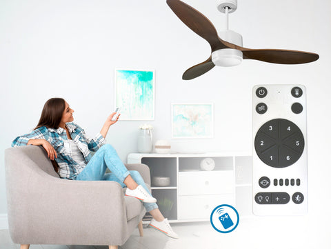 Ventilador de techo